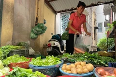 Các mặt hàng rau xanh hiện đã giảm mạnh tới 50% so với thời điểm tuần trước. (Ảnh: PV/Vietnam+)