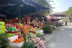 Thực phẩm, hàng hóa dồi dào trong ngày ông Công, ông Táo. (Ảnh: PV/Vietnam+)