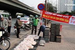 Thực hư về loại trứng 'giải cứu' giá siêu rẻ chất đống vỉa hè Hà Nội