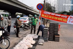 Thực hư về loại trứng 'giải cứu' giá siêu rẻ chất đống vỉa hè Hà Nội