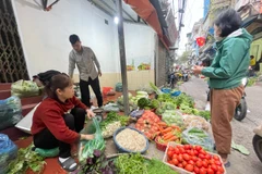 Nguồn cung thực phẩm rau xanh, thịt dồi dào tại các chợ trên địa bàn Thủ đô sau kỳ nghỉ Tết Nguyên đán. (Ảnh: Minh Hiếu/Vietnam+)