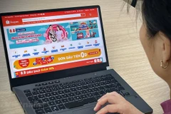 Các đơn vị thương mại điện tử khởi động các đợt sale lớn từ đầu năm để kích cầu mua sắm, tiêu dùng. (Ảnh minh họa: PV/Vietnam+)