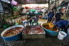 Không khí tấp nập tại chợ cá Yên Sở trước ngày ông Công ông Táo