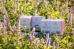 Tận 'mục sở thị' quy trình sản xuất trà thảo dược TH true HERBAL