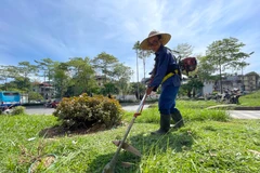 Nhân viên cây xanh Hà Nội đang căng mình làm việc dưới tiết trời gần 40 độ C (ảnh chụp sáng ngày 21/6/2021). (Ảnh: Minh Hiếu/Vietnam+)