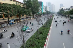 [Video] Hà Nội trồng mới cây bàng lá nhỏ thay thế cây phong lá đỏ