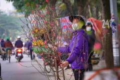 [Photo] Tiểu thương mòn mỏi chờ người mua đào, quất những ngày cận Tết