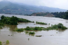 (Ảnh: Quốc Khánh/TTXVN)