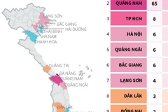 [Infographics] 15 tỉnh, thành phố có bệnh nhân mắc COVID-19