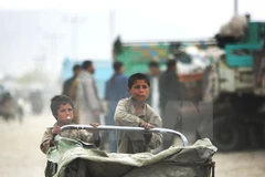 Trẻ em Afghanistan đẩy xe đi bán rau tại thủ đô Kabul. (Nguồn: THX/TTXVN)