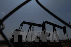 Ảnh minh họa. (Nguồn: AFP/TTXVN)