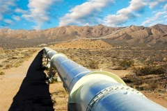 Ảnh minh họa. (Nguồn: tribune) 