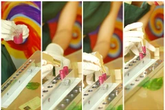 Tự làm son tươi: Trải nghiệm mới cho cô nàng mê mỹ phẩm