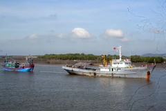 (Ảnh minh họa: Đoàn Mạnh Dương/TTXVN)