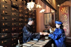 [Photo] Tái hiện sinh động tinh hoa y học cổ truyền Việt Nam