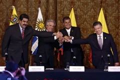 Trong ảnh (từ trái sang phải): Tổng thống Venezuela Nicolas Maduro, Tổng thống Uruguay Tabare Vazquez, Tổng thống Ecuador Rafael Correa và Tổng thống Colombia Juan Santos sau cuộc gặp tại Quito. (Nguồn: AFP/TTXVN)