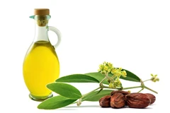 Những tác dụng kỳ diệu của dầu jojoba trong việc làm đẹp