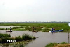 Sông Đầm thuộc địa bàn xã Tam Thăng và phường An phú, thành phố Tam Kỳ, tỉnh Quảng Nam. (Ảnh: Trịnh Bang Nhiệm/TTXVN)