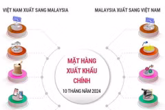 Thương mại Việt Nam và Malaysia còn nhiều dư địa phát triển