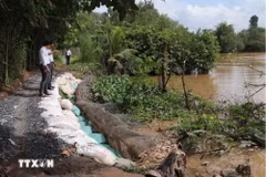 Đoạn sạt lở nghiêm trọng. (Ảnh minh họa: Minh Trí/TTXVN)