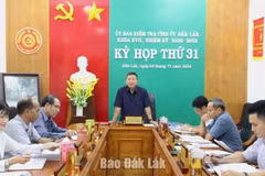 Ủy viên Ban Thường vụ Tỉnh ủy, Chủ nhiệm Ủy ban Kiểm tra Tỉnh ủy Lê Văn Nghĩa, phát biểu tại kỳ họp. (Nguồn: Báo Đắk Lắk)