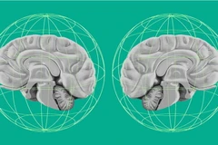 Ảnh minh họa. (Nguồn: Getty)