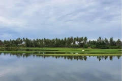 Quảng Ngãi: Hai vợ chồng tử vong do chìm xuồng trên đầm An Khê