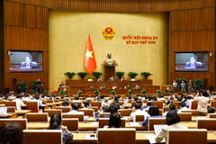 Quang cảnh một phiên họp. (Ảnh: Doãn Tấn/TTXVN)