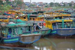 Tàu thuyền neo đậu trên bến cá xã Giao Hải, huyện Giao Thủy, tỉnh Nam Định. (Ảnh: Công Luật/TTXVN)