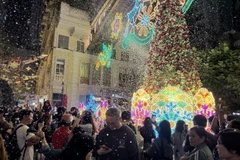 Khu hành chính đặc biệt Hong Kong rực rỡ đón Giáng sinh