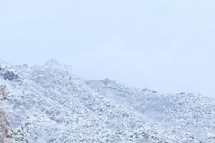 Tuyết đầu mùa đến muộn nhưng rơi dày bất thường ở Hàn Quốc 