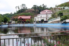 Ảnh minh họa. (Nguồn: TTXVN)