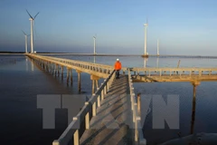 Ảnh minh họa. (Nguồn: TTXVN)