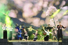 Chương trình nghệ thuật khai mạc Lễ hội. (Ảnh: Xuân Tư/TTXVN)