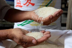 Gạo Việt Nam xuất khẩu đi Trung Quốc. )Ảnh: Hồng Đạt/TTXVN)