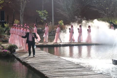 Một tiết mục biểu diễn tại chương trình. (Ảnh: Dư Toán/TTXVN)