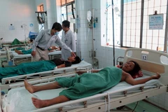 Cấp cứu bệnh nhân bị ngộ độc nấm. Ảnh minh họa. (Nguồn: TTXVN)