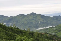 Núi Cà Đam - điểm du lịch nghỉ dưỡng hấp dẫn của Quảng Ngãi