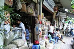 Hà Nội: Bảo tồn, khôi phục không gian nghề y dược phố cổ Lãn Ông