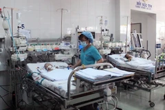 Ảnh chỉ có tính minh họa. (Nguồn: TTXVN)