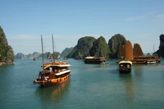 Tàu du lịch trên Vịnh Hạ Long. (Ảnh: Tiến Dũng/TTXVN)