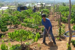 Còn nhiều hộ nghèo, Gia Lai khó đạt lộ trình xây nông thôn mới