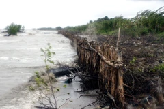 Đê biển Tây bị sạt lở đang được kè chắn. (Ảnh: Lê Huy Hải/TTXVN)