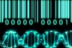 Việt Nam phân tích thành công hệ gen của một gia đình người Việt 