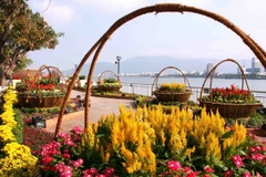 Đường hoa Xuân Đà Nẵng chính thức mở cửa phục vụ công chúng