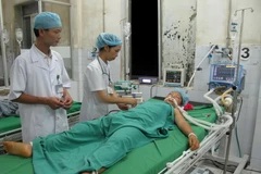 Hà Giang báo động tình trạng tử vong do ăn bột ngô mốc và nấm độc 