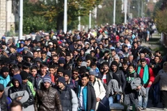  Khoảng 2.000 người di cư tới thị trấn Kljuc Brdovecki, biên giới Croatia-Slovenia bằng tàu hỏa ngày 24/10. (Nguồn: AFP/TTXVN)