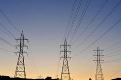 Ảnh minh họa. (Nguồn: mexiconewsdaily.com)