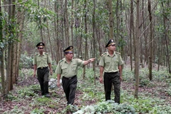 Kon Tum sử dụng hơn 123 tỷ đồng chi trả dịch vụ môi trường rừng