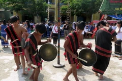 Ảnh minh họa. (Nguồn: TTXVN)